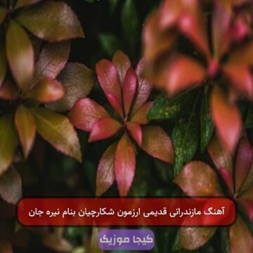 آهنگ مازندرانی قدیمی ارزمون شکارچیان بنام نیره جان