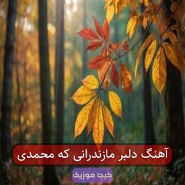 آهنگ دلبر مازندرانی که محمدی