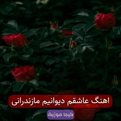 اهنگ عاشقم دیوانیم مازندرانی
