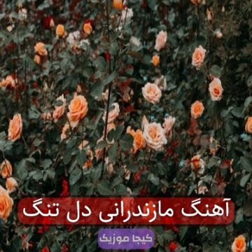 آهنگ مازندرانی می دل تنگه مه دل تنگ آهنگ مازندرانی می دل تنگه مه دل تنگ