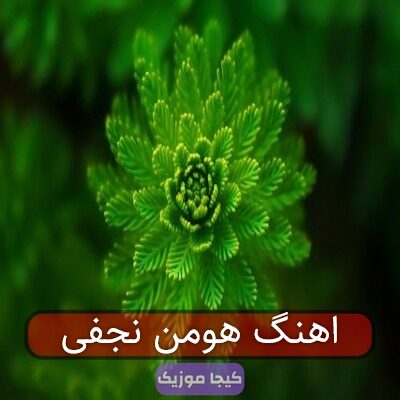 اهنگ هومن نجفی