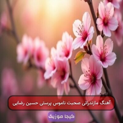 آهنگ مازندرانی صحبت ناموس پرستی حسین رضایی