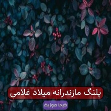 پلنگ مازندرانه میلاد غلامی