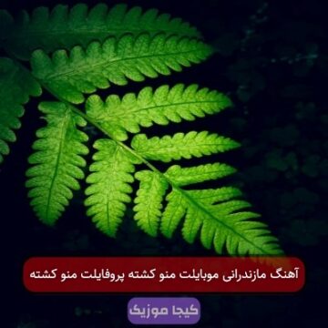 آهنگ مازندرانی موبایلت منو کشته پروفایلت منو کشته آهنگ مازندرانی موبایلت منو کشته پروفایلت منو کشته