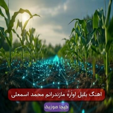 اهنگ بلبل اواره مازندرانم محمد اسمعلی