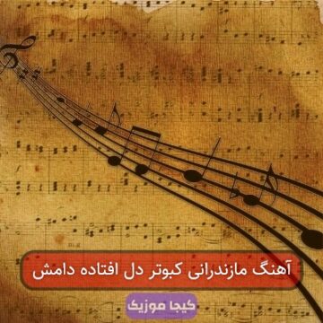 آهنگ مازندرانی کبوتر من افتاده دامش