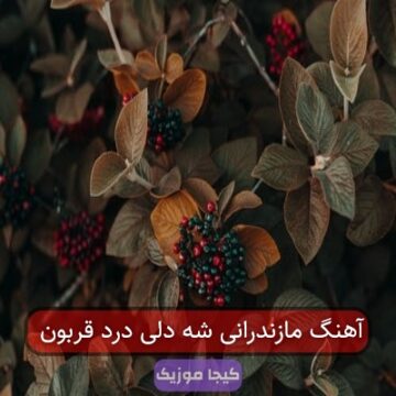 آهنگ مازندرانی شه دلی درد قربون آهنگ مازندرانی شه دلی درد قربون