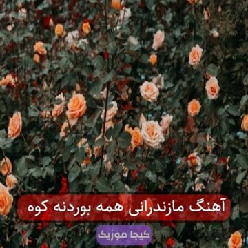 آهنگ مازندرانی همه بوردنه کوه آهنگ مازندرانی همه بوردنه کوه