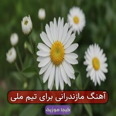 آهنگ مازندرانی ضربه فنی