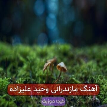 آهنگ مازندرانی وحید علیزاده