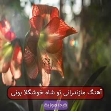 بهترین آهنگ مازندرانی - شاه خوشگلا