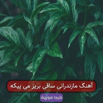 آهنگ مازندرانی ساقی بریز می پیکه آهنگ مازندرانی ساقی بریز می پیکه